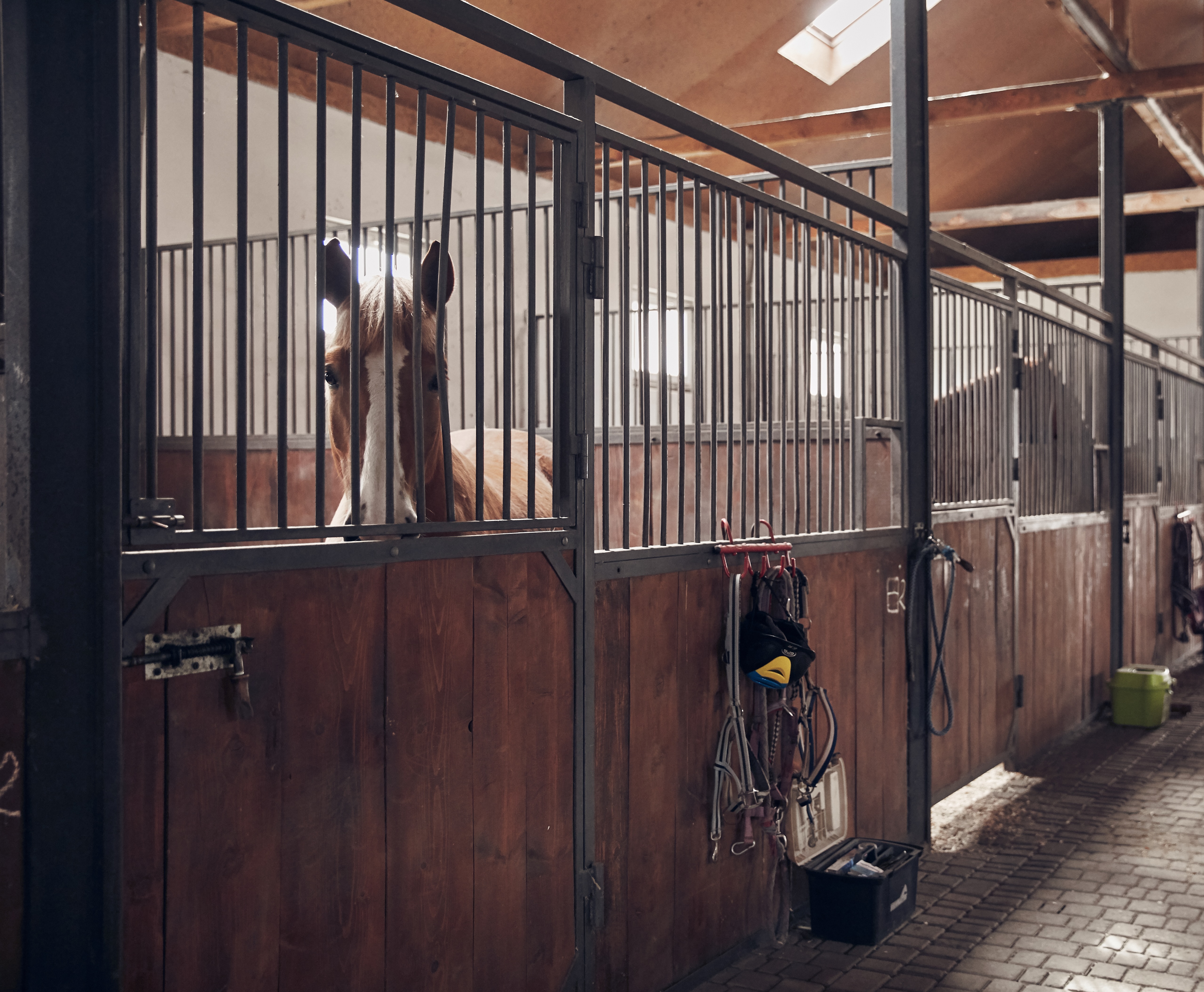 Horse in stable — The Soft Toy
